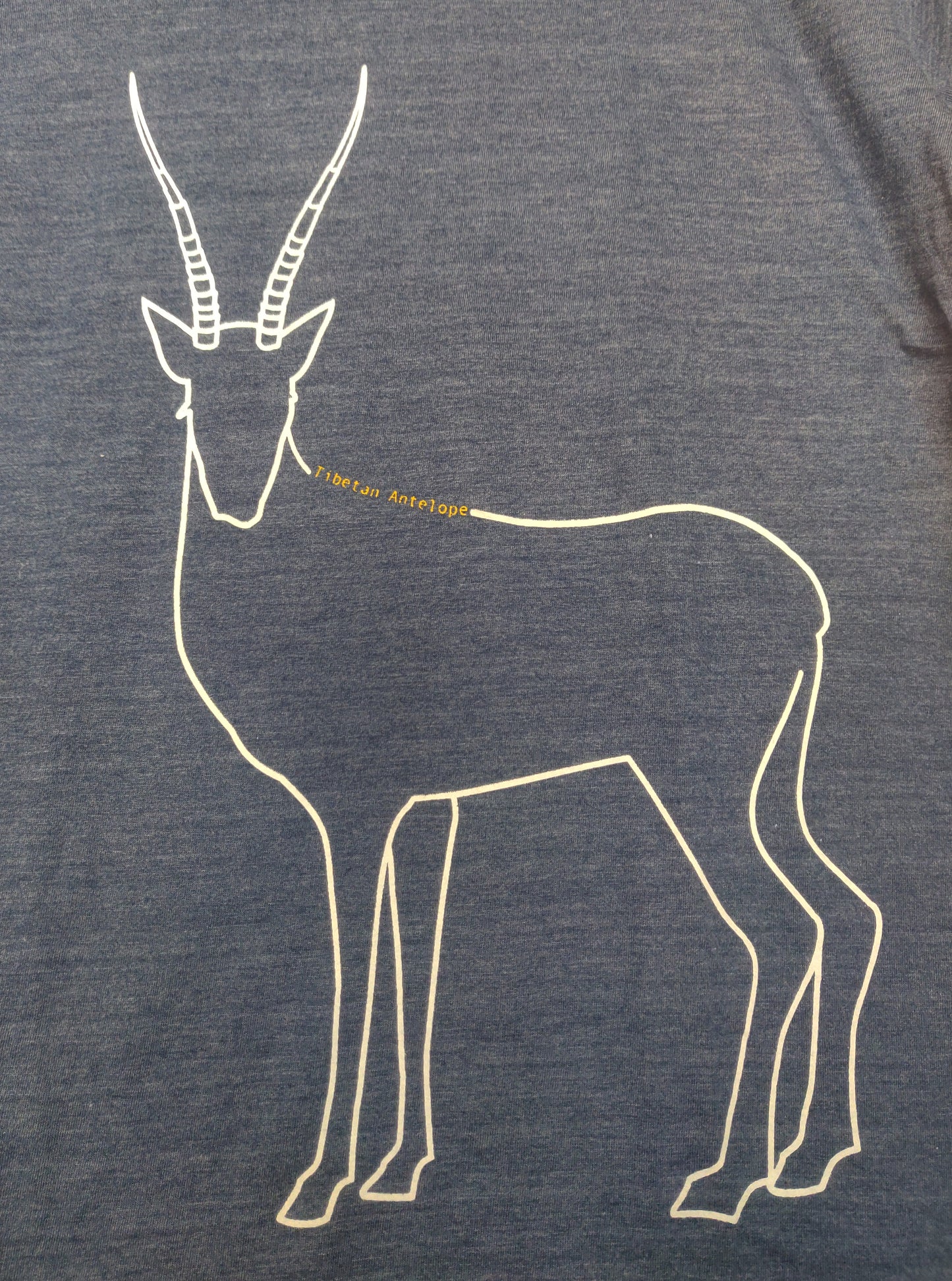 Tibetan Antelope Tee
