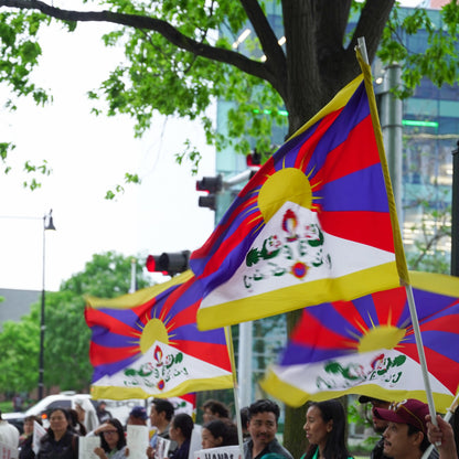 Tibetan National Flag (46" x 70")